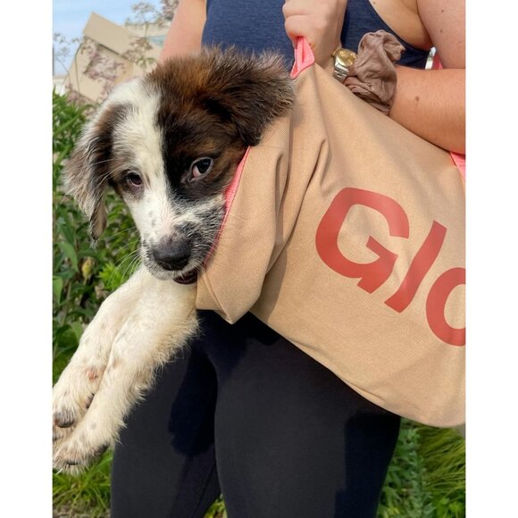 Glossier Duffle Bag Beige Desert Rose Pink 20x10x10 Pockets Travel Gym Satchel - Picture 1 of 13